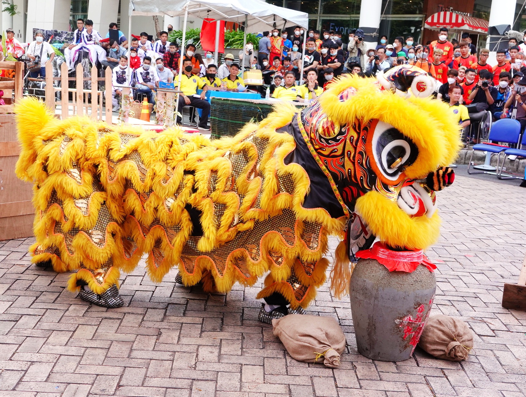 Đội lân